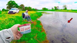 Let Me Show You An Easy Way To Catch Loads Of Fish In Your Local Pond