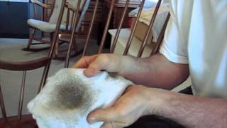 How to Remove Sticky Hand Oil Build-up from the Finish on Wood: Hand Oils