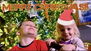 Kids at Disney Springs Christmas Tree Trail | Merry Christmas from Tosh Toys!