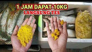 FULL BOX‼️MANCING BELANAK PAKAI UMPAN INI