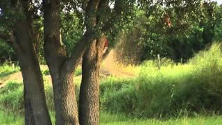 Kyle Cronin and Donald Solley at Lakeland MX