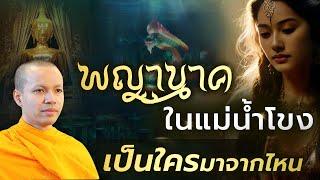 พญานาคในแม่น้ำโขง เป็นใครมาจากไหน?