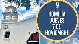 Homilía Jueves 07 de noviembre  2024 - Parroquia Santa María de los Ángeles