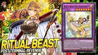 Deck Ritual Beast Post Terminal Revenge | EDOPRO | Replays  + Decklist ️