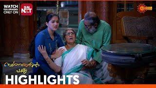 Swargavathil Pakshi  - Highlights of the day | 25 Nov 2024 | Surya TV