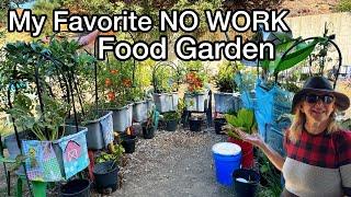 How to Make A Raised Garden Bed CHEAP & EASY for Beginners as You Make FREE Soil ALL YEAR & NO Dig 