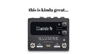 Neunaber ILLUMINE | If You Like Reverb...