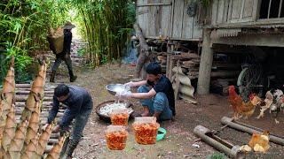 Rural life goes to the forest to get bamboo shoots, make bamboo shoots with chili and salt