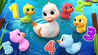 Five Little Ducklings Song | Newborn Baby Songs & Nursery Rhymes