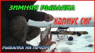 ЗИМНЯЯ РЫБАЛКА / ХАРИУС СИГ / РЫБАЛКА НА ПЕЧОРЕ / WINTER FISHING / GRAYLING, WHITEFISH