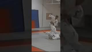 Nukite zuki (finger strike) and kubi-gatame (neck-lock).