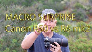 Canon R50 vs R6 mk2 Surprises doing Macro photography