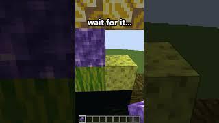 Minecraft: What in the Bling Bang Bang Born did I just see?  #Shorts