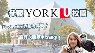 【加拿大讀書】參觀York University！校園近邊個地鐵站？Bookstore乜都有得賣？Campus居然擺放六四民主女神像！｜Vitti in Canada