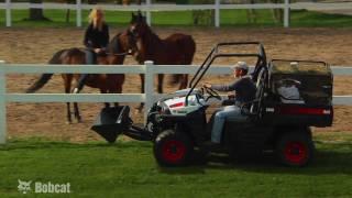 Bobcat Utility Vehicles (UTV): Getting the Job Done