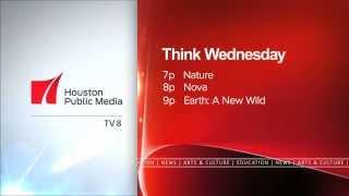 Think Wednesday: Feb 11  Houston Public Media