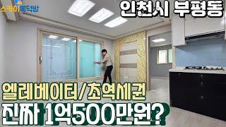 [인천빌라매매](no666)부평시장역 도보 2분 엘레베이터 설치 방2개 거실이 있는대 1억 500만원? 급매빌라 [부평동빌라]