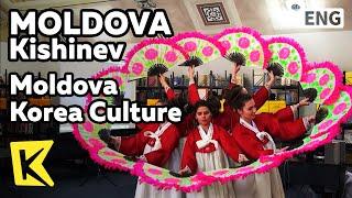 【K】Moldova Travel-Kishinev[몰도바 여행-키시너우]몰도바에서 느끼는 한국 문화/Korea culture/Free University