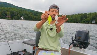 How To Choose The Right Bait for Lake Trout Jigging