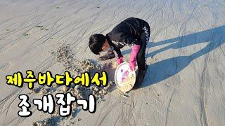 제주바다에서 조개잡기!!  진정한 도민라이프~  ㅋ  이제부터 시작이다.조.개.잡.기!!