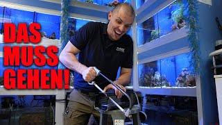 René benutzt TUNZE fast nur im Süßwasser?! - AQUARISTIK-Laden in der Schweiz