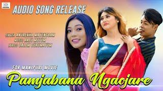 "Pamjabana Ngaojare" Official Audio Song Release || Film : Pamjabana Ngaojare