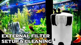 Canister Filter For Aquarium: Setup and Cleaning