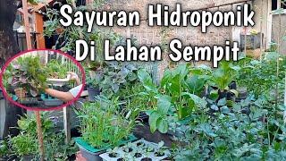 Menanam Sayuran Di Lahan Sempit Depan Rumah Dengan Sistem Hidroponik