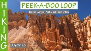 Hiking Peek-a-boo Loop (Bryce Canyon National Park, Utah). July 2023