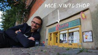 Who is making tiny shops for mice in Sweden and why?