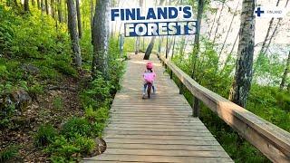 Cycling Finland forest roads