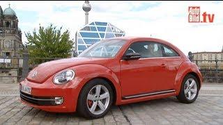 VW Beetle - Ausfahrt im Käfer-Urenkel