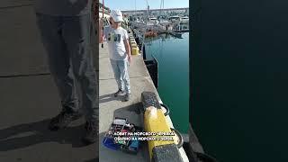 Рыбалка в Сочи | Старкина блог |  Инвестиции в недвижимость в Сочи | Морская рыбалка в Сочи