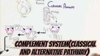 Complement System(CLASSIFICATION) @umerfarooqbiology7083