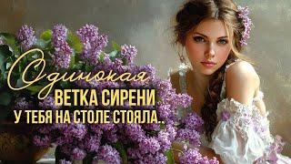 ОДИНОКАЯ ВЕТКА СИРЕНИ | Трогательные песни о любви @BestPlayerMusic