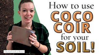 How to Use Coco Coir Bricks | Seed Starting, Plants, & Houseplants