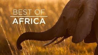 Earth Touch Showreel: Best of Africa