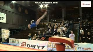 Anastasia Dmitrieva (RUS) VT || 2014 Top Gym AA