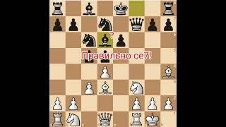 Блестящая победа! Французкая защита. Часть 1. Шахматы с Мариной.