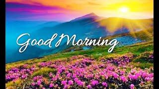 Good Morning Wishes with beautiful quotes and flowers....