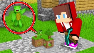 Why JJ Want To DESTROY Mikey TINY CHUNK in Minecraft? (Maizen)