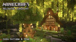 Minecraft Relaxing Longplay - Lush Caves - Cozy Cottage House (بدون توضیح) 1.19