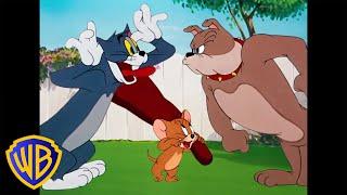 Tom & Jerry | Best Buddies  | Classic Cartoon Compilation | WB Kids