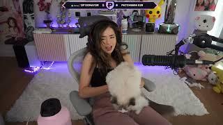 POKIMANE THICC MOMENTS 16 | POKIMANE THICCEST MOMENTS