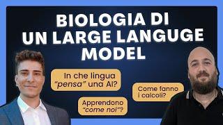 Viaggio dentro la mente di una AI 