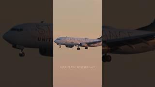 United 737 Star Alliance Livery