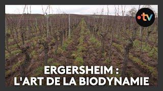 Un lieu, des histoires à Ergersheim : l'art de la biodynamie - Episode 2/4