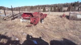 Tuesday Morning Farm Fun