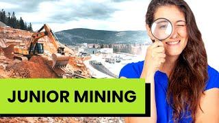  Is Junior Mining REALLY the Best Type of Company for Investors?