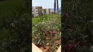 العشر الأوائل من ذي الحجة